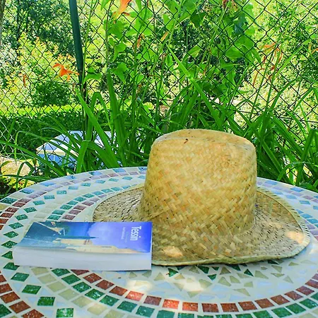 Residenza Sul Maggiore Holiday home Luino